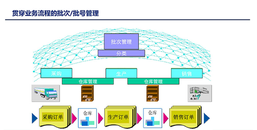 贯穿业务流程的批次/批号管理